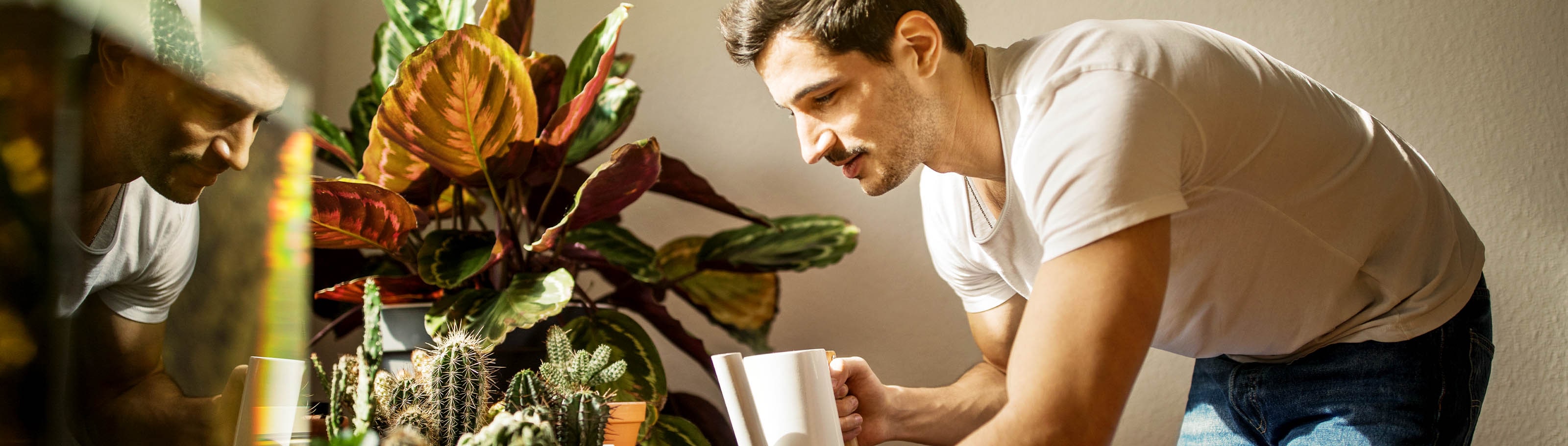 Descubre cómo cuidar el agua en casa de manera efectiva