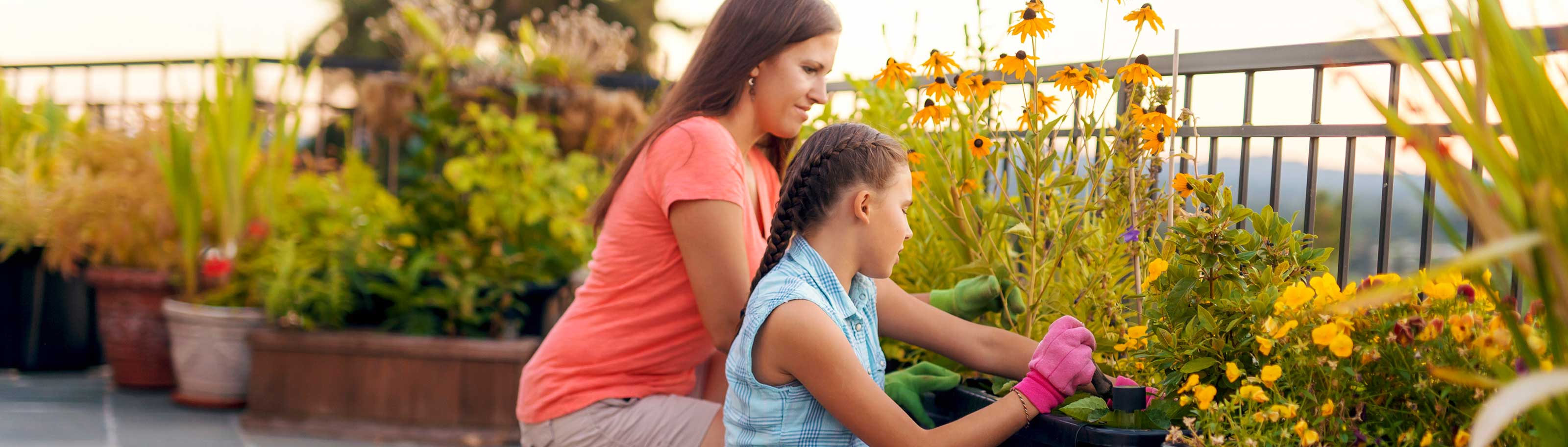 ¿Cómo ayudar a las abejas?