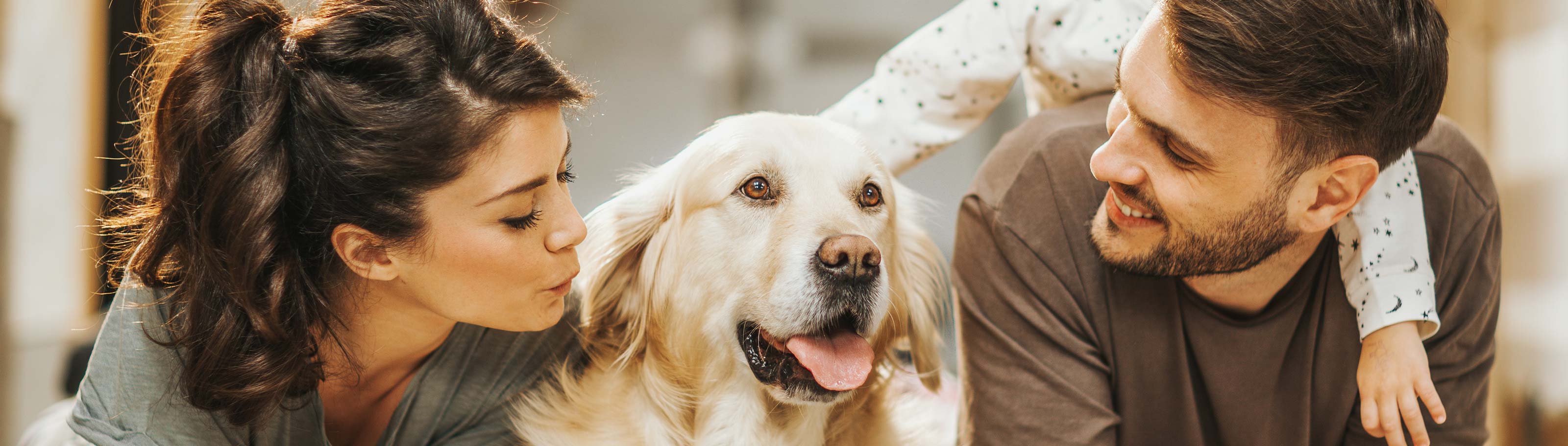 ¿Qué es un seguro para mascotas y cómo funciona?