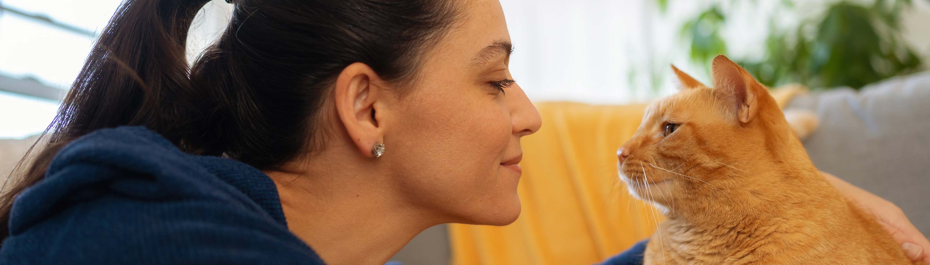 Descubre 6 juegos para gatos que divertirán a tu felino