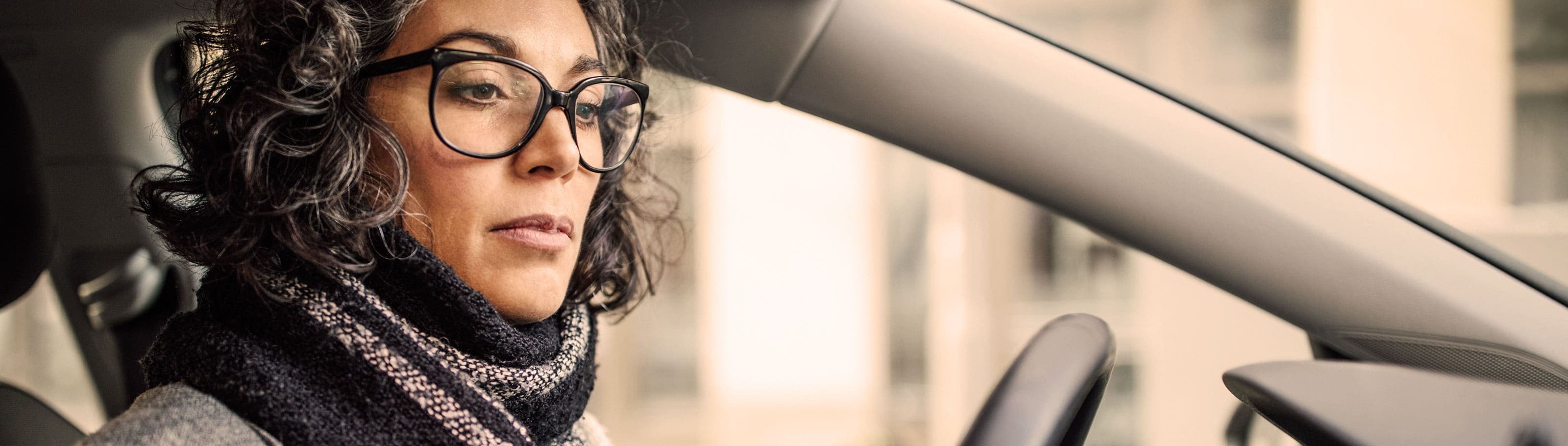 ¿Qué es el control vehicular?