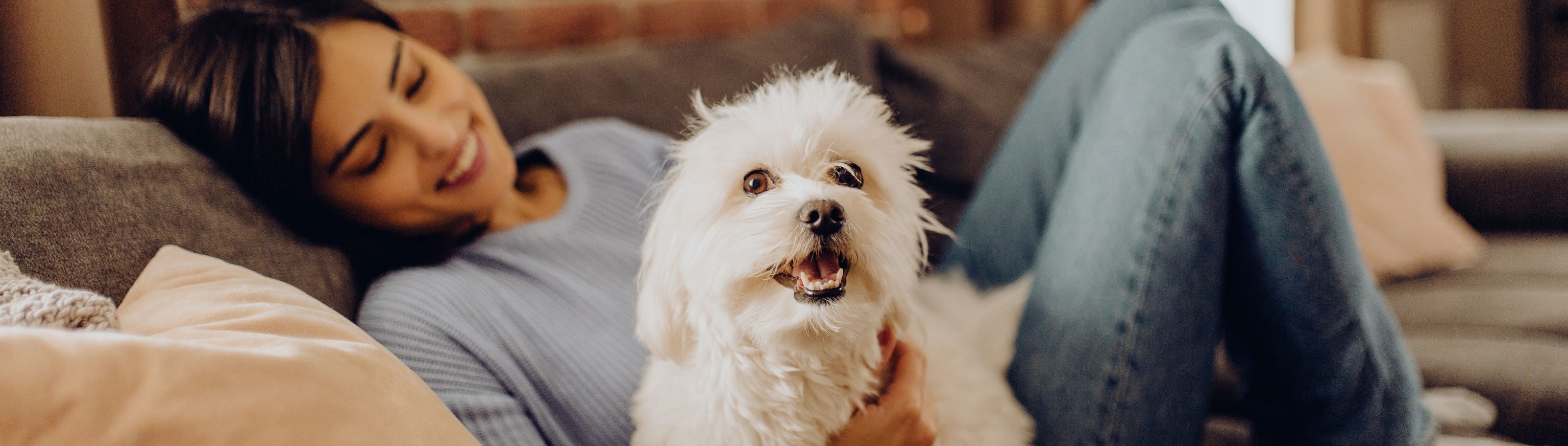 ¿Por qué es importante vacunar mascotas?