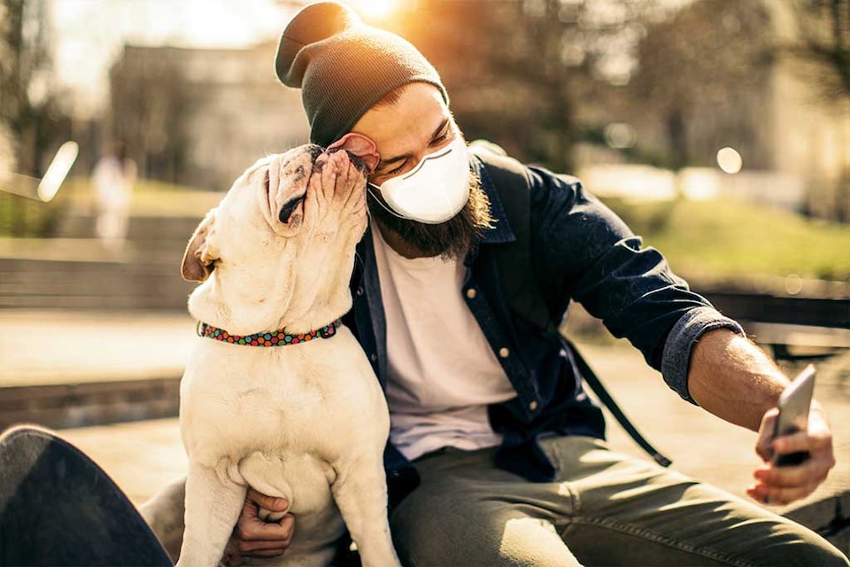 seguro veterinario para mascotas