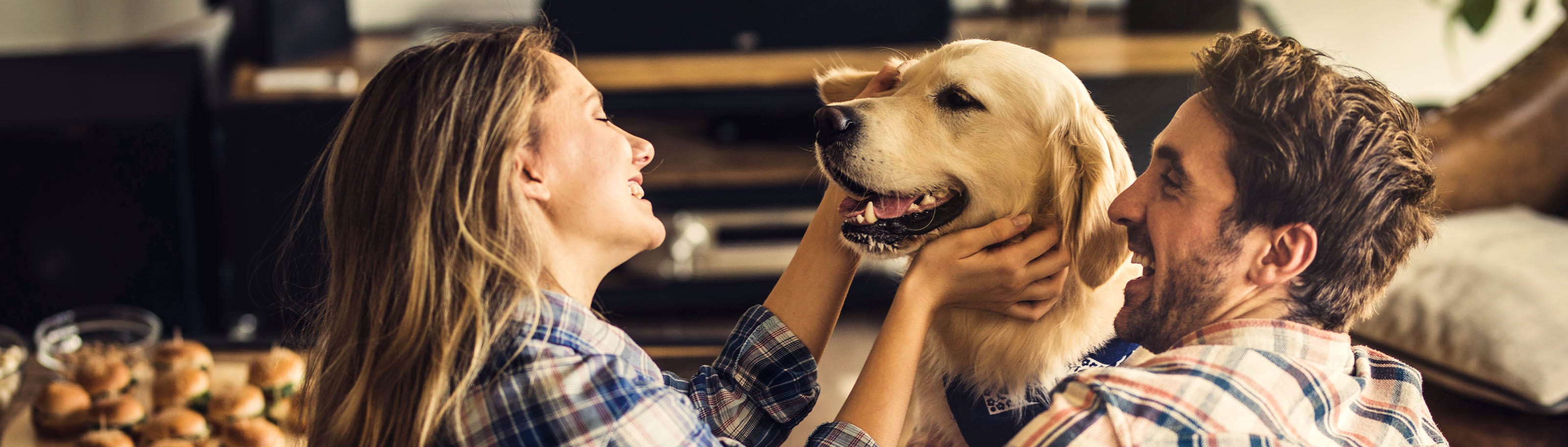 necesito registrar a mi perro en la ciudad