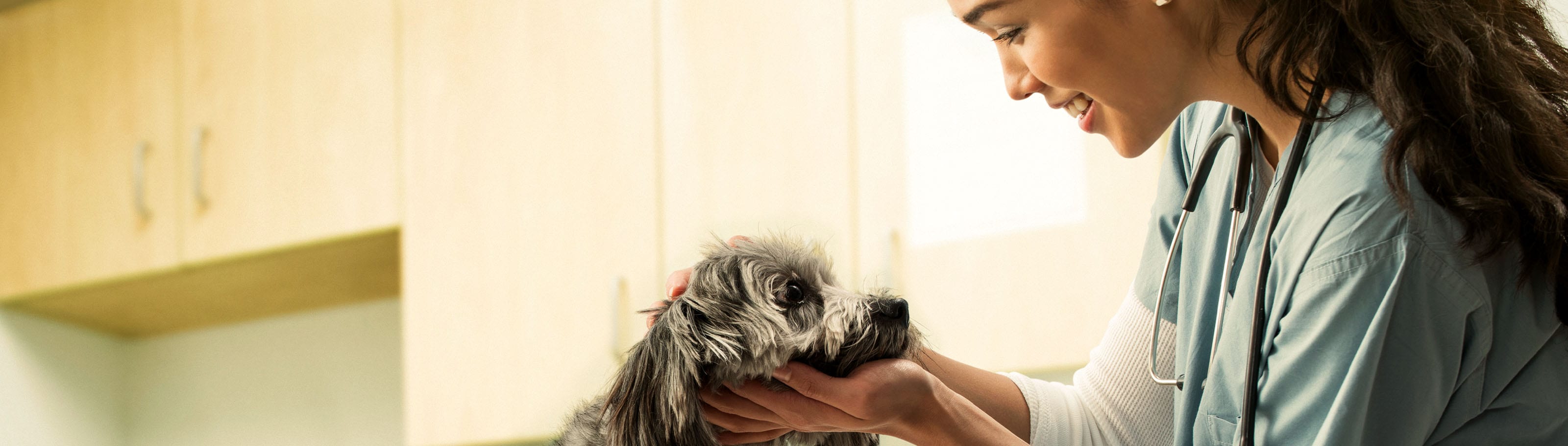 veterinaria atendiendo a perrito