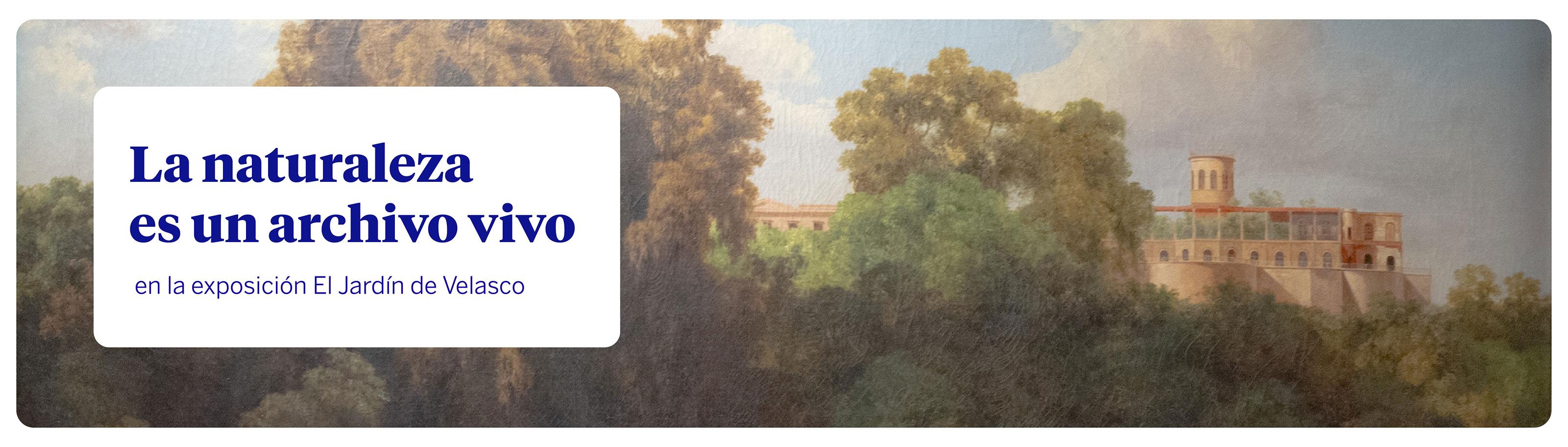 El jardín de Velasco