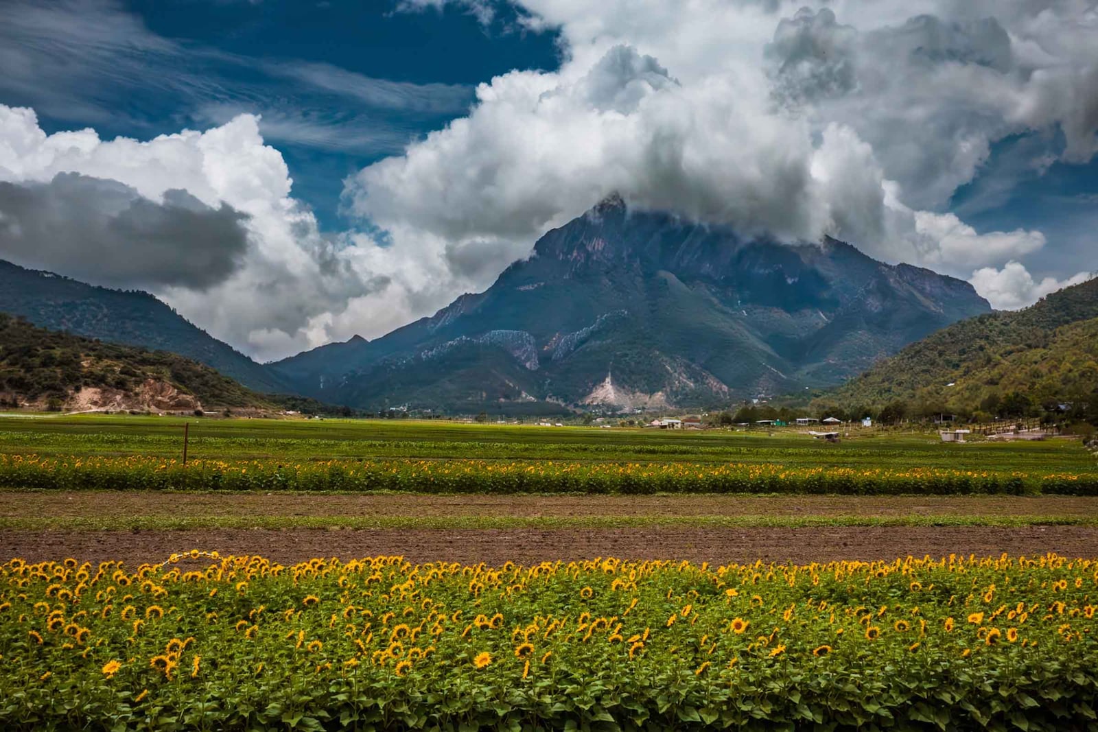 Nuevo León