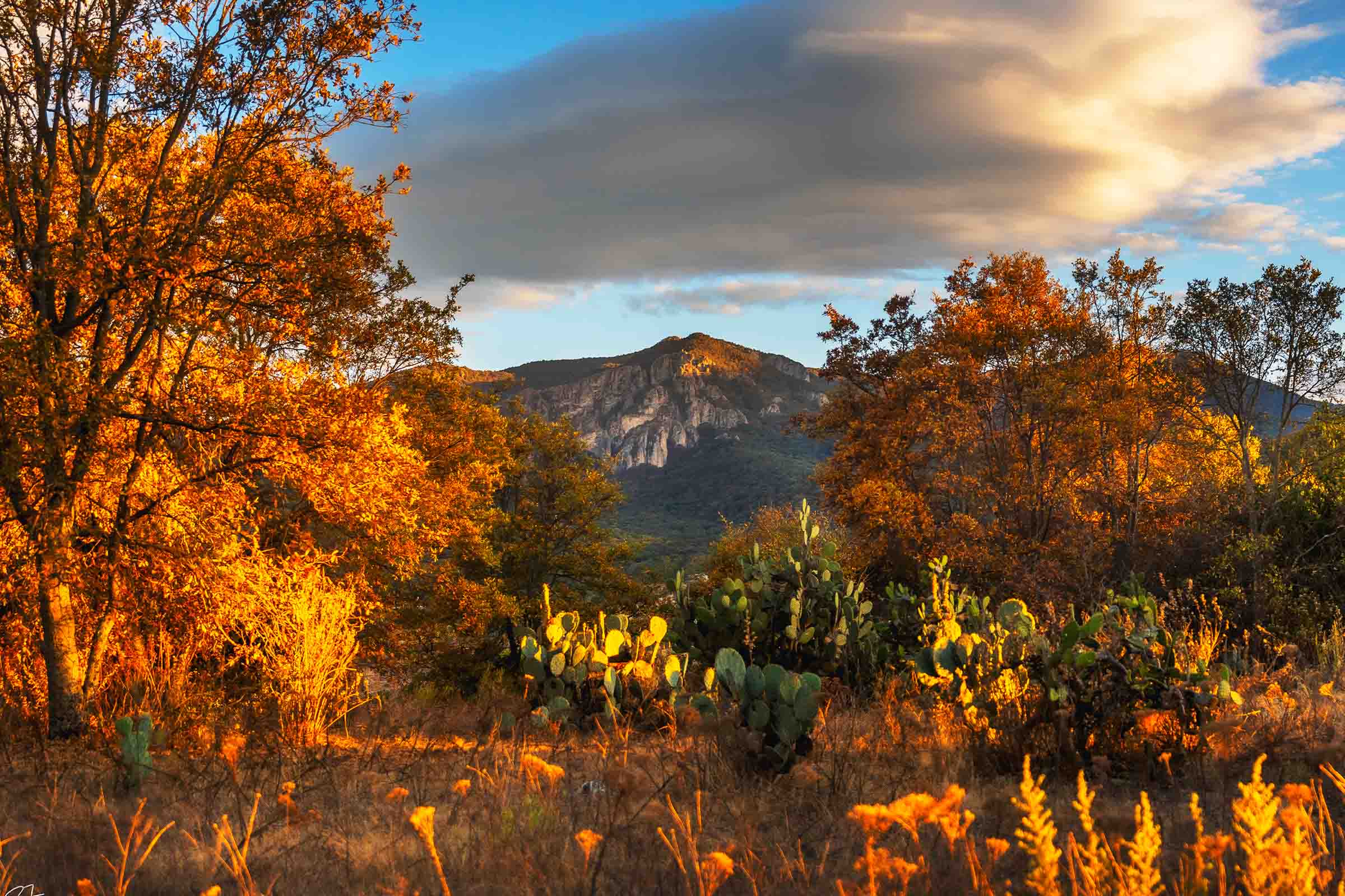 Las peñas
