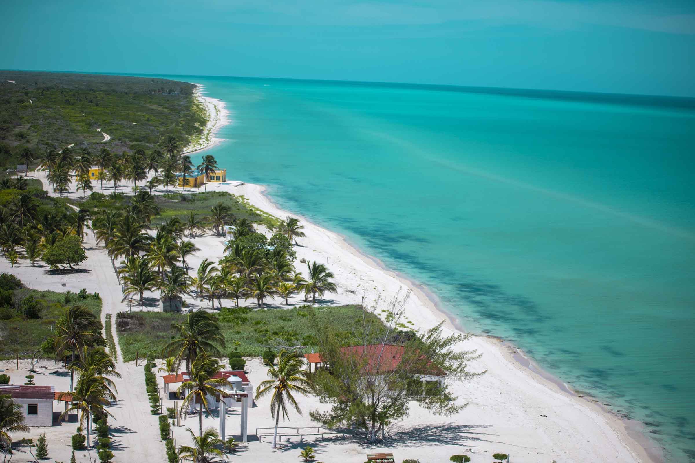 Reserva El Palmar