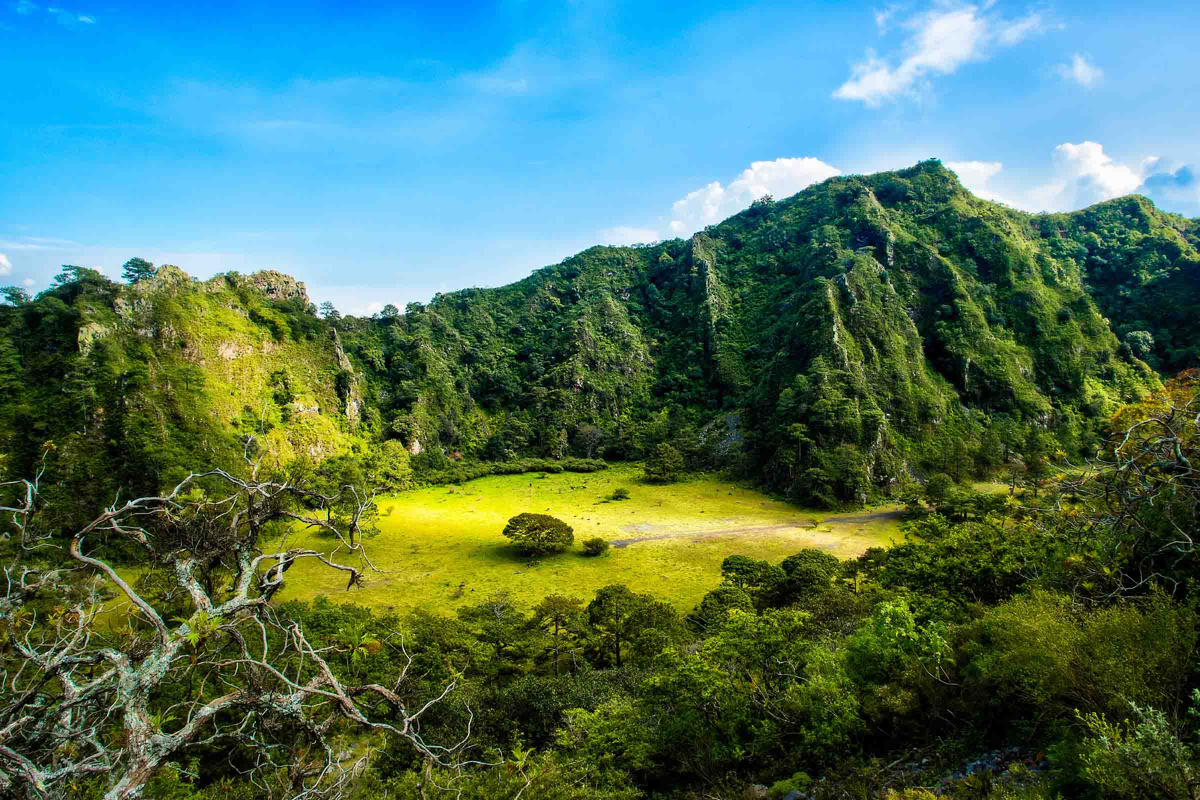 Volcán Ceboruco