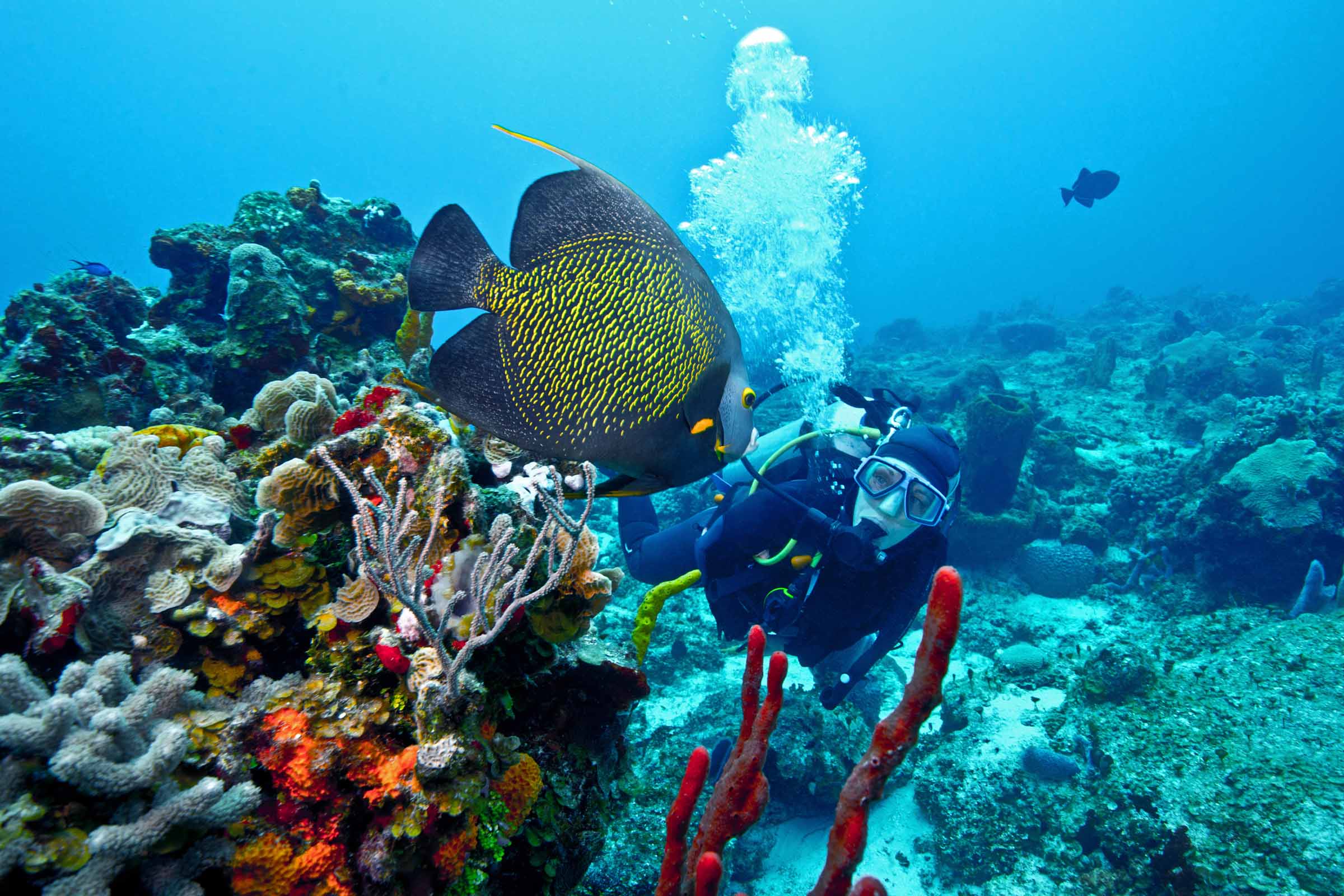 Parque Nacional Arrecifes de Cozumel