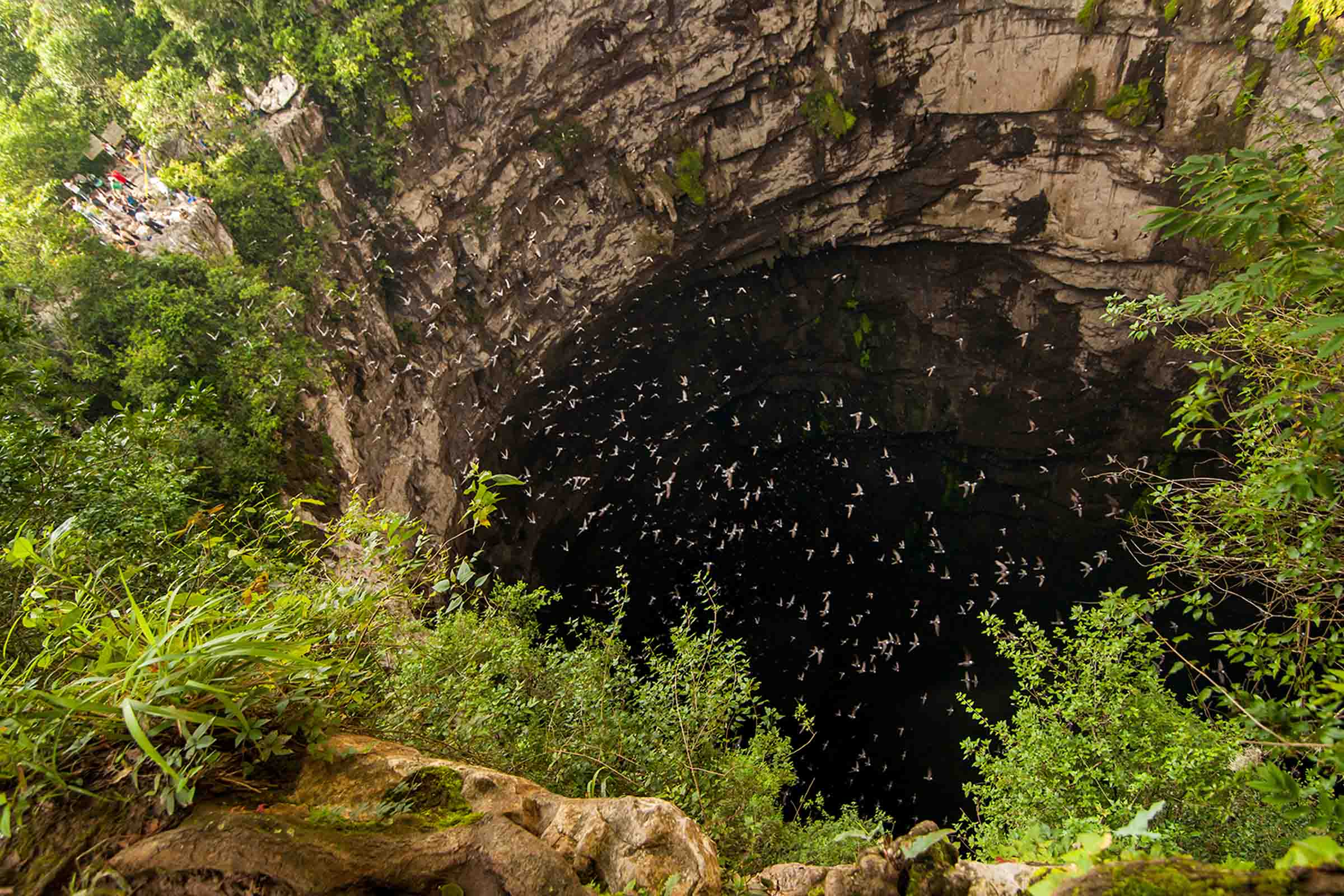 Sótano de las Golondrinas