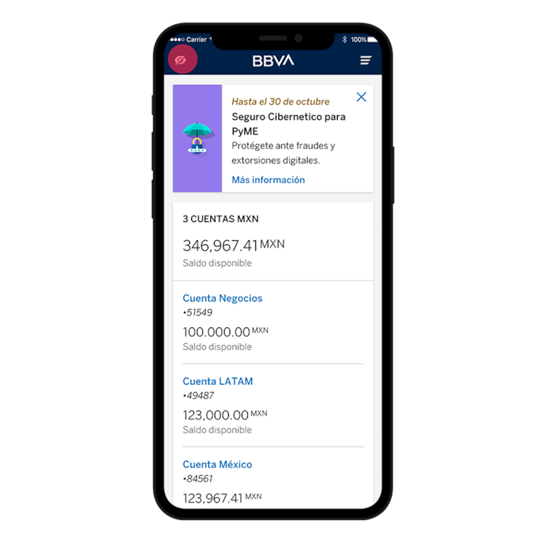 fun-app-bbva-empresa-02