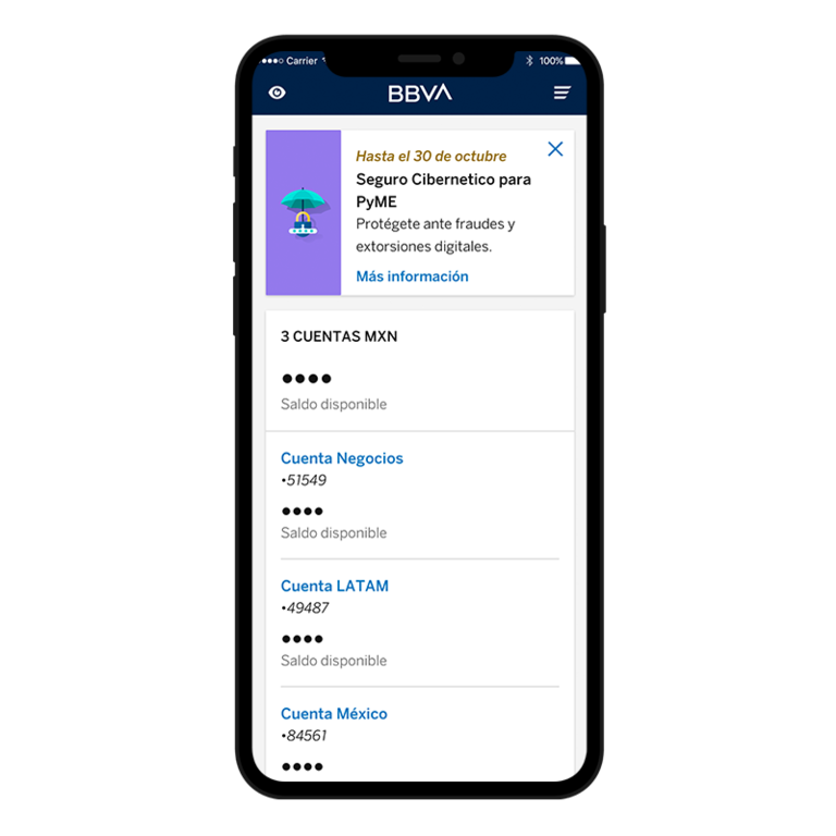 fun-app-bbva-empresa-03