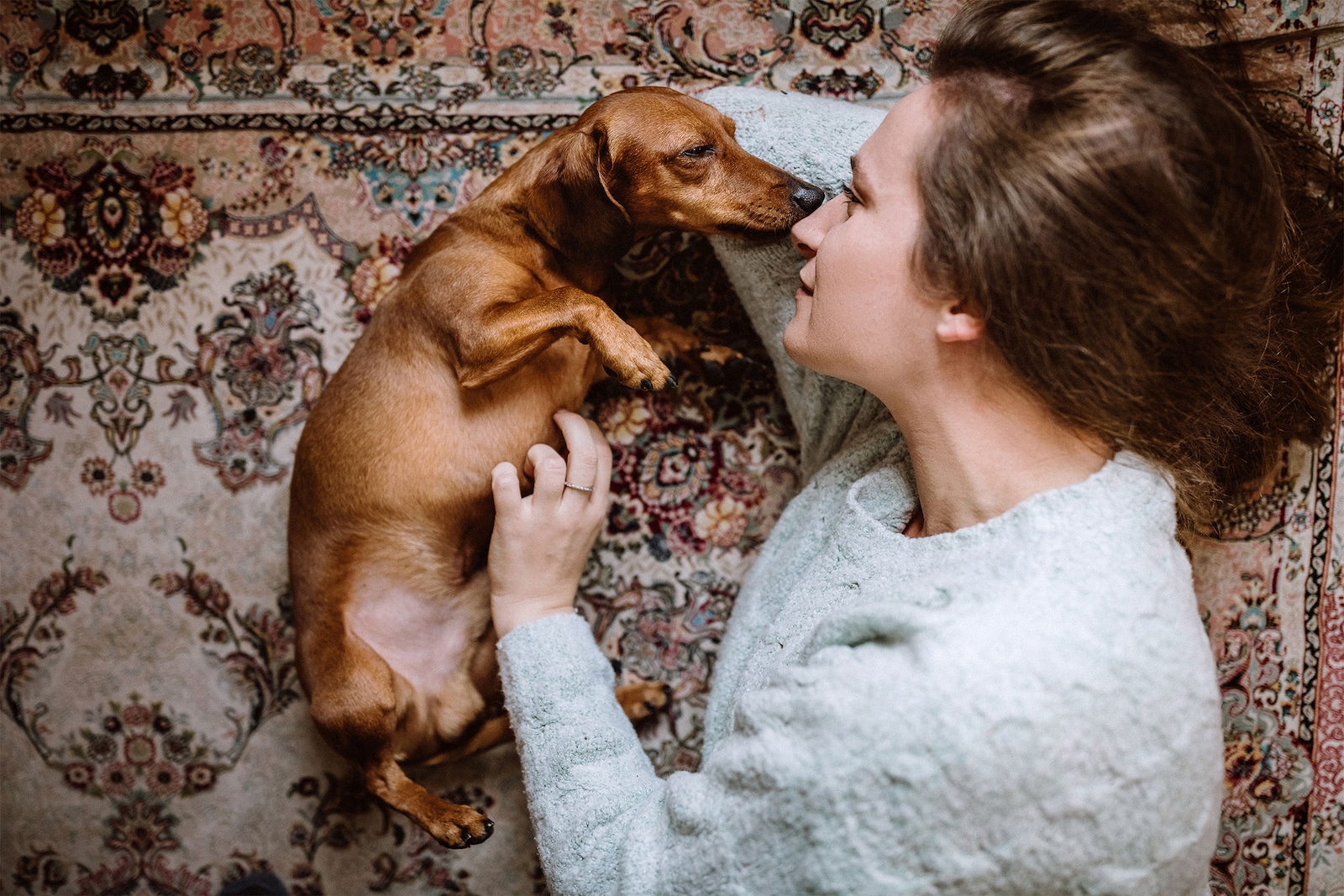 Como funciona el seguro para mascotas