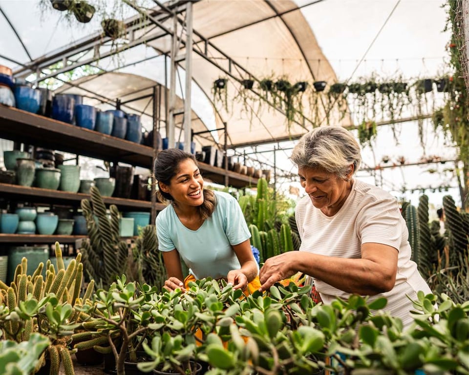 Puedes proteger tu empresa en el futuro