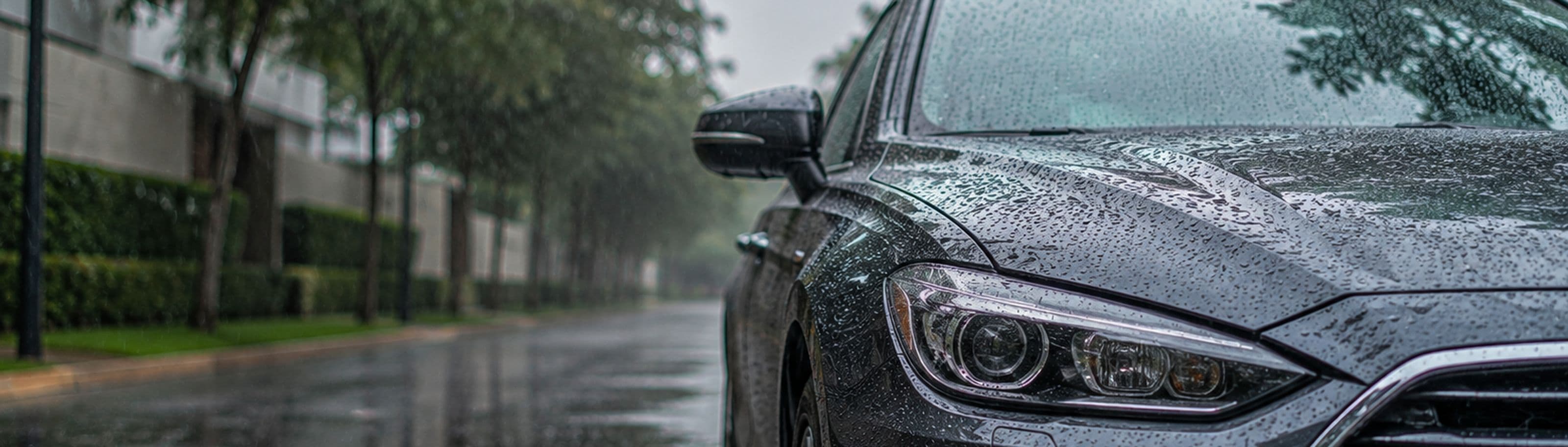Proteger pintura de auto contra la lluvia