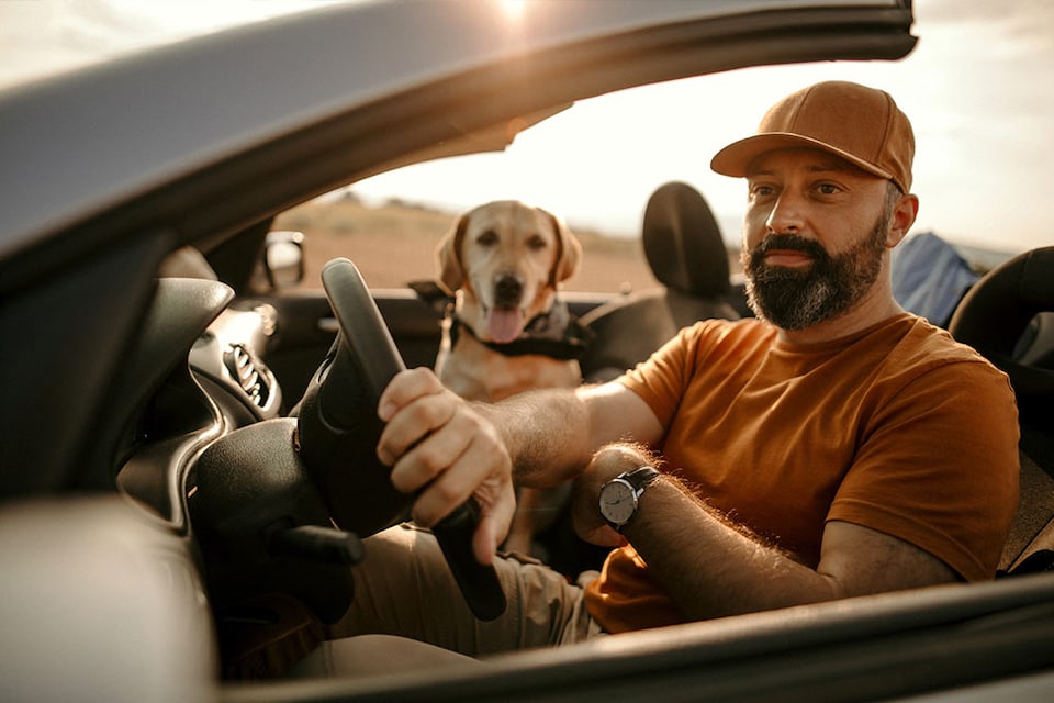 seguro mascota registro unico de animales de compania