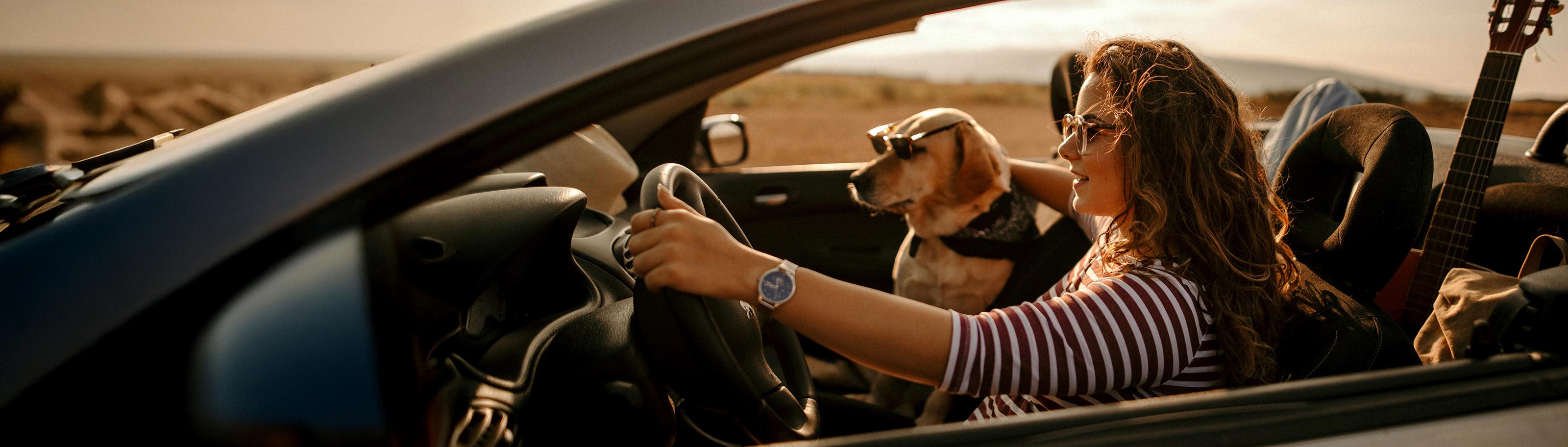 Requisitos para viajar con mascotas en avión