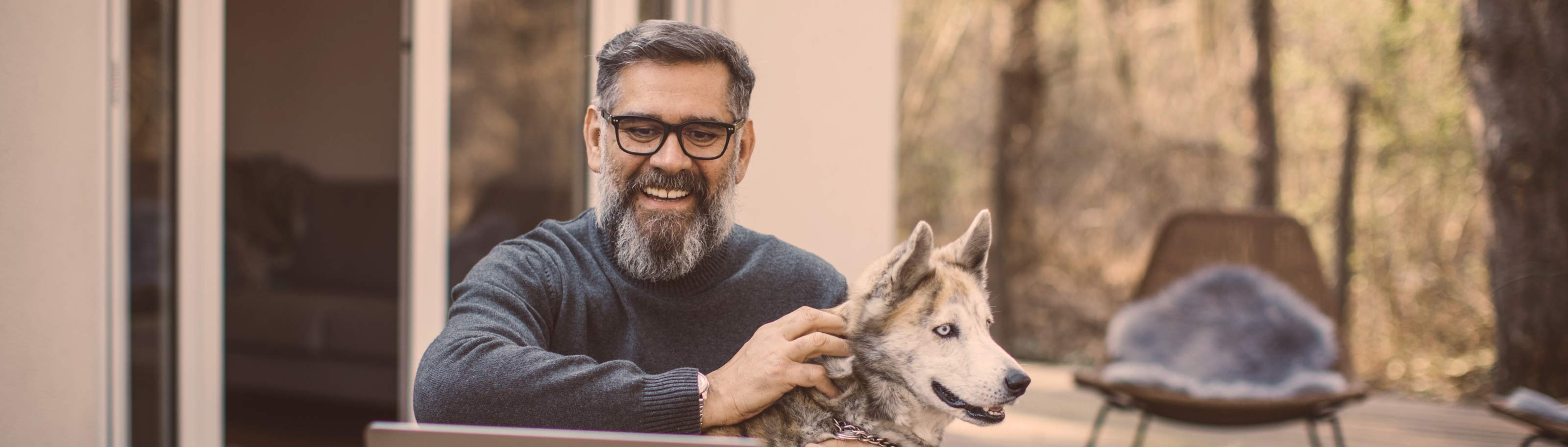 ¿Qué son los animales de compañía y qué responsabilidades implican?