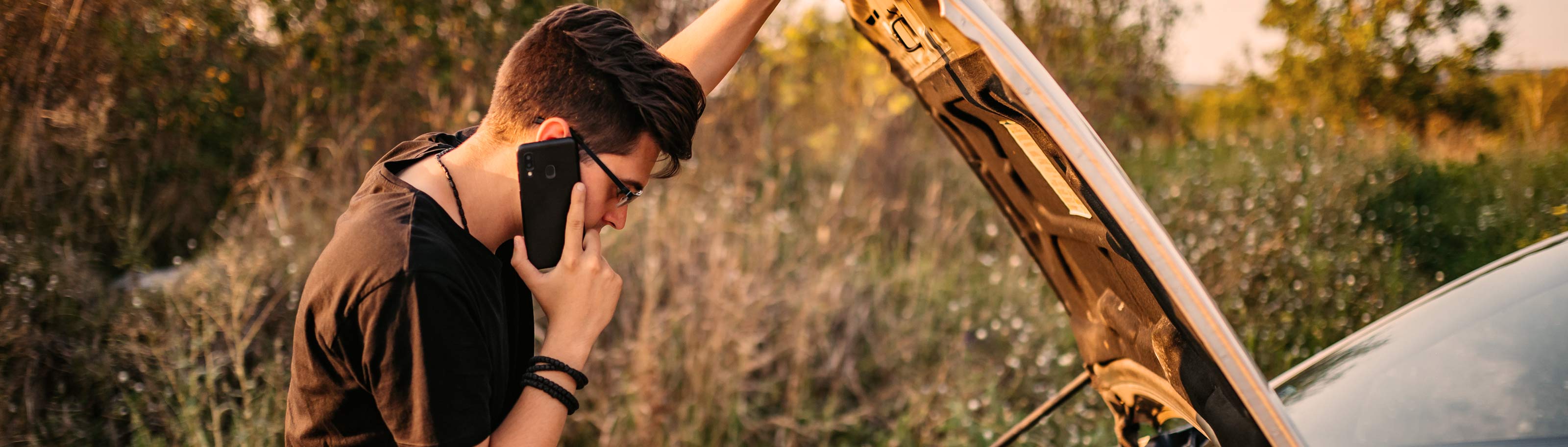 ¿Cómo funciona la tenencia vehicular 2026?