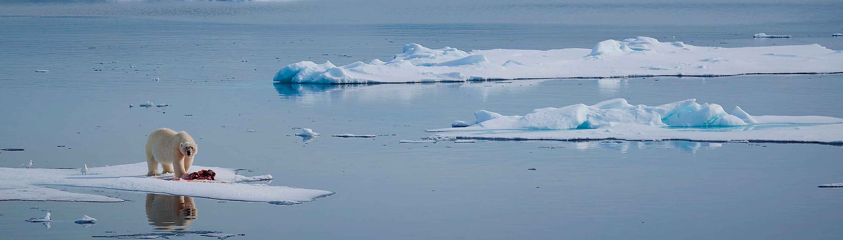Cambio climático y el calentamiento global | BBVA México